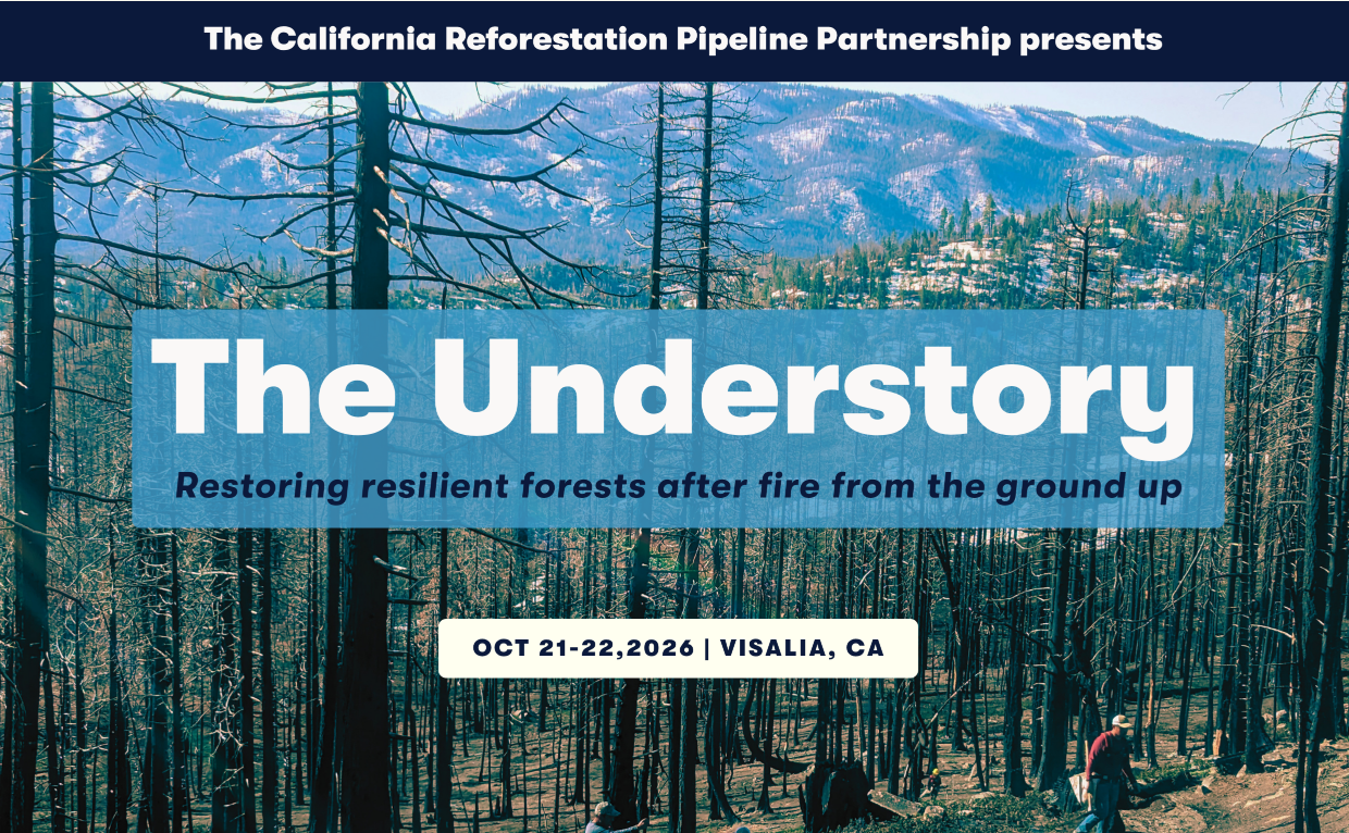 The Understory - Oct. 21-22 in Visalia